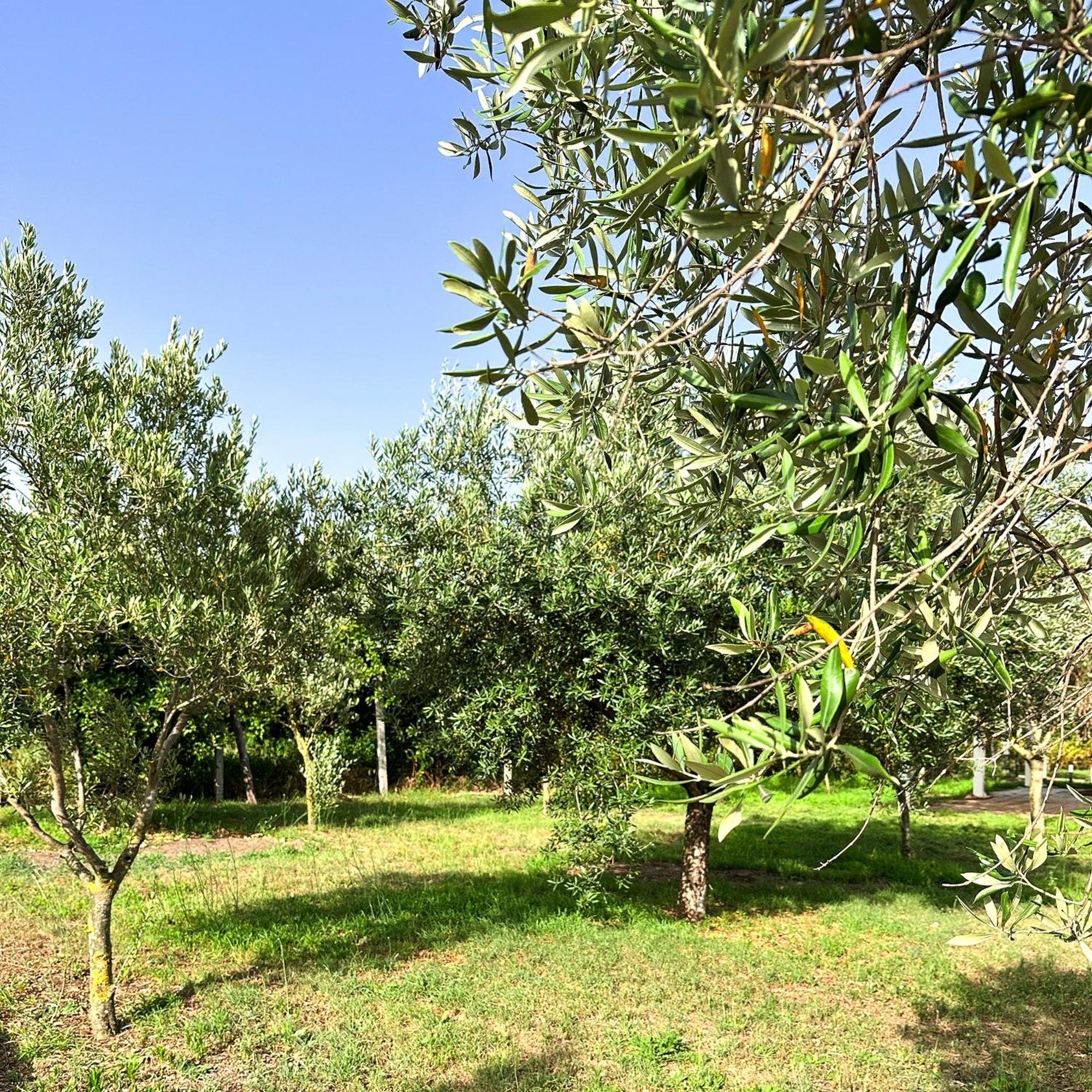Tenuta Nunziata - Food, Event, Biofarm Torre Annunziata Luaran gambar
